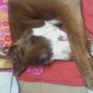 Meet your Posher, Amy